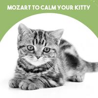 Mozart to calm your Kitty