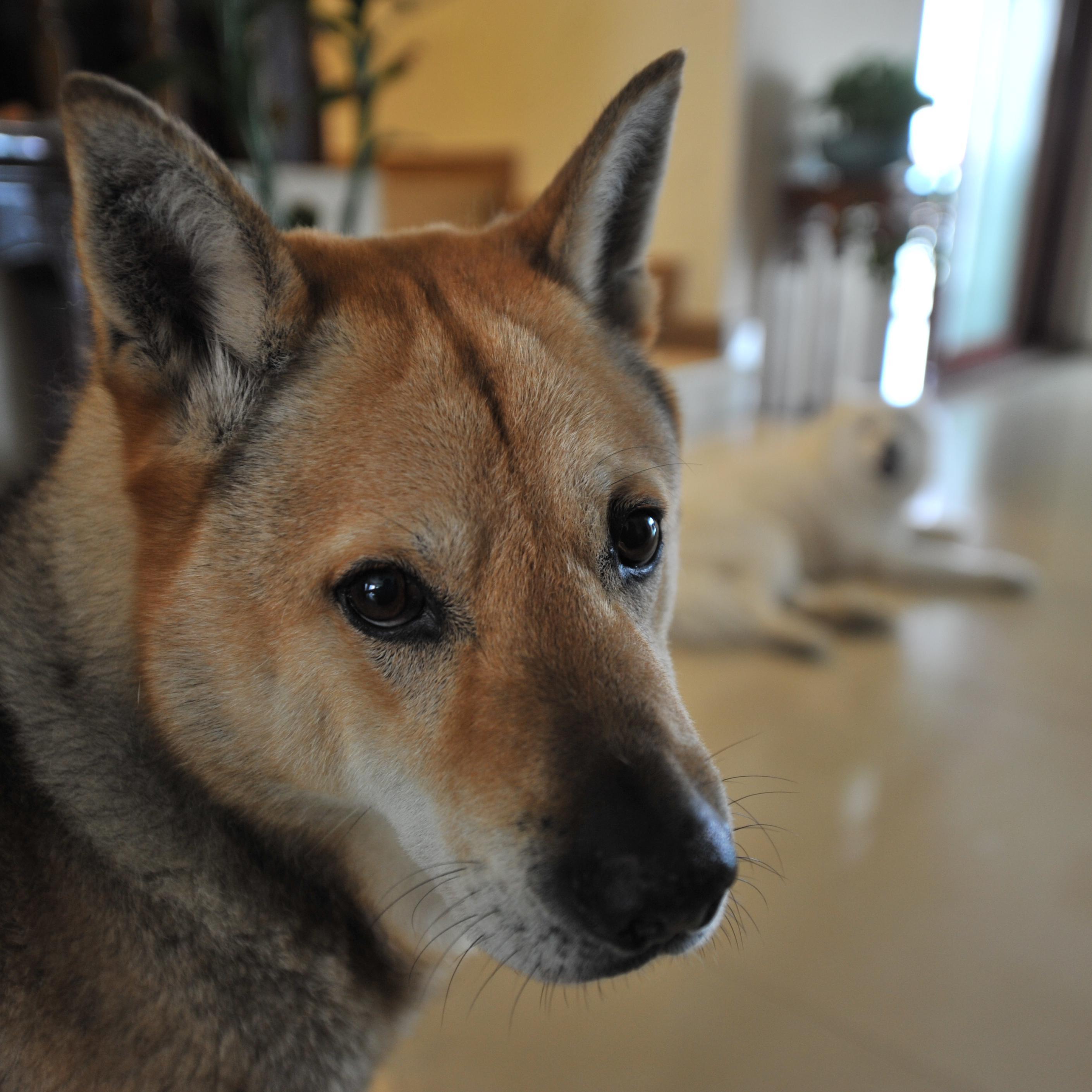 [Free] 甜蜜够不够