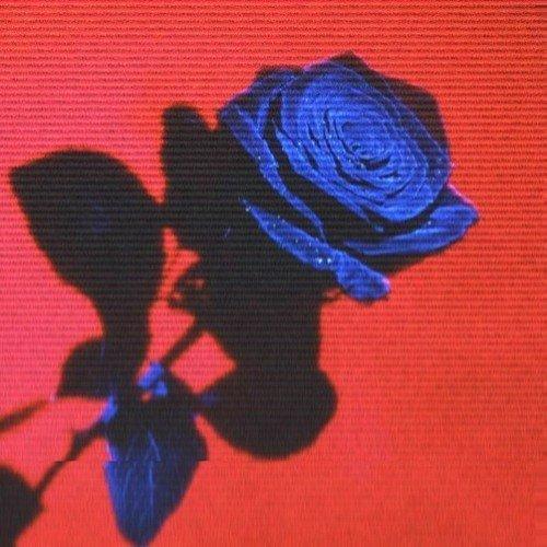  E mo了，听一首双倍，E mo