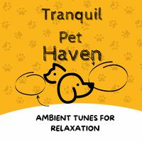 Tranquil Pet Haven: Ambient Tunes for Relaxation