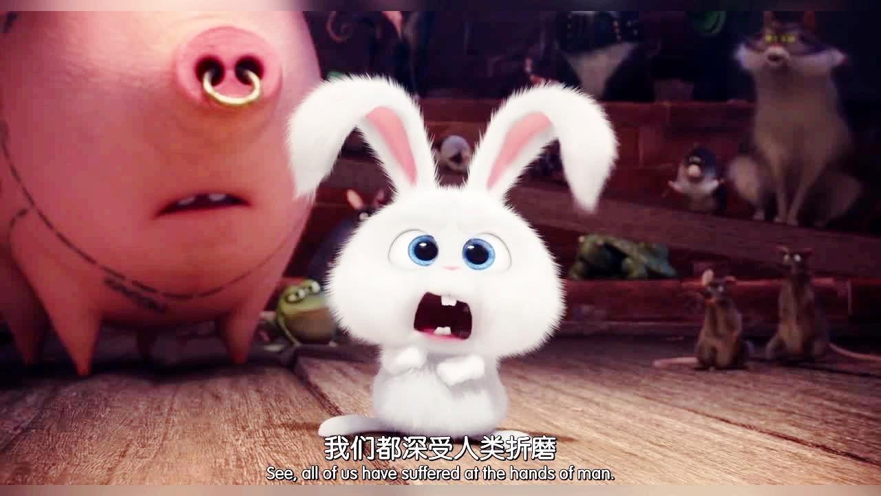 Кролик из мультфильма Тайная жизнь домашних животных