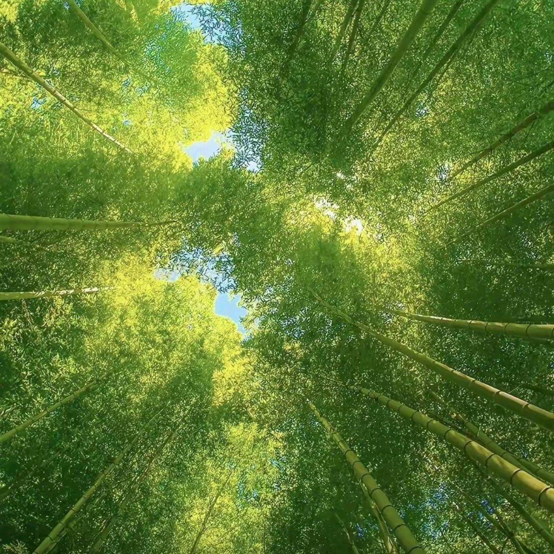 谁会问我累不累封面