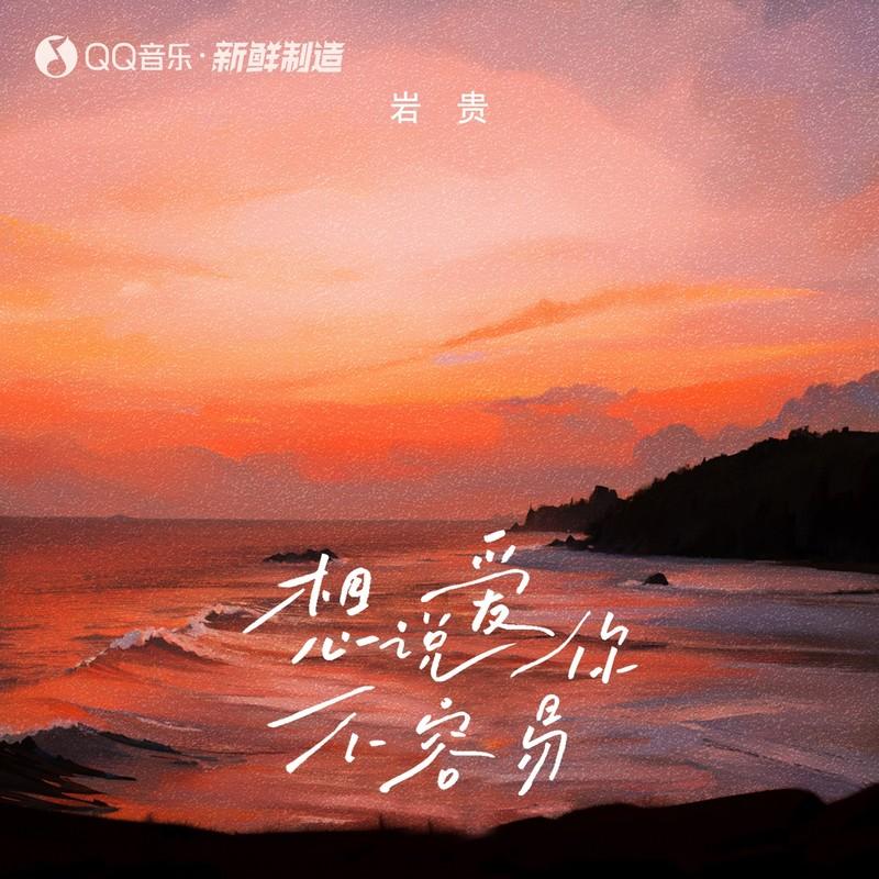 想说爱你不容易 (伴奏)封面