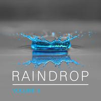 Raindrop, Vol. 4