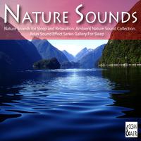 Nature Sounds for Sleep and Relaxation: Ambient Nature Sound Collection. Relax Sound Effect Series Gallery for Sleep