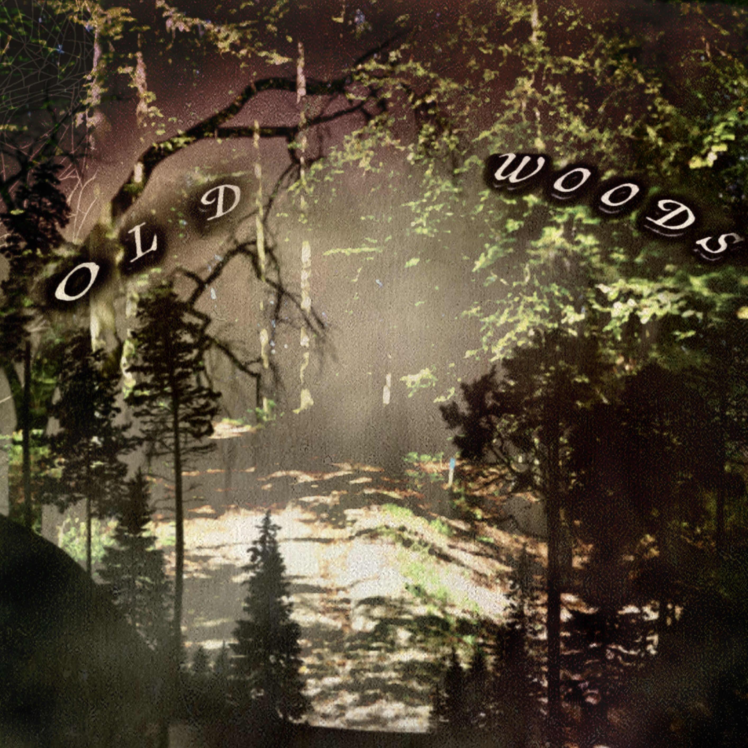 Old Woods