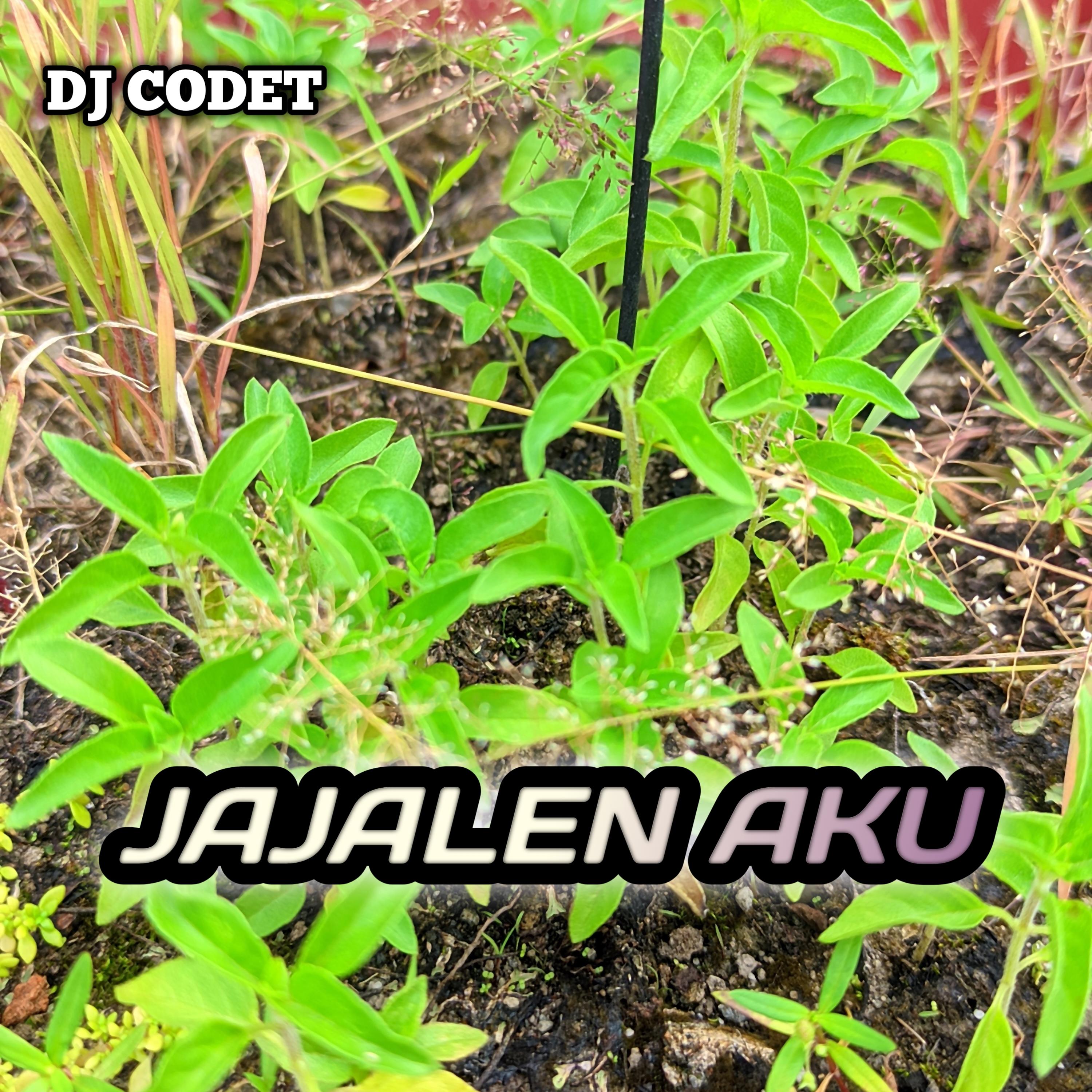 JAJALEN AKU