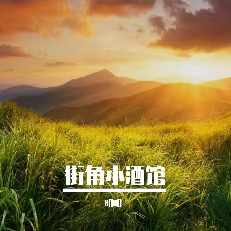 街角小酒馆封面