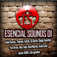 ESENCIAL SOUNDS 01