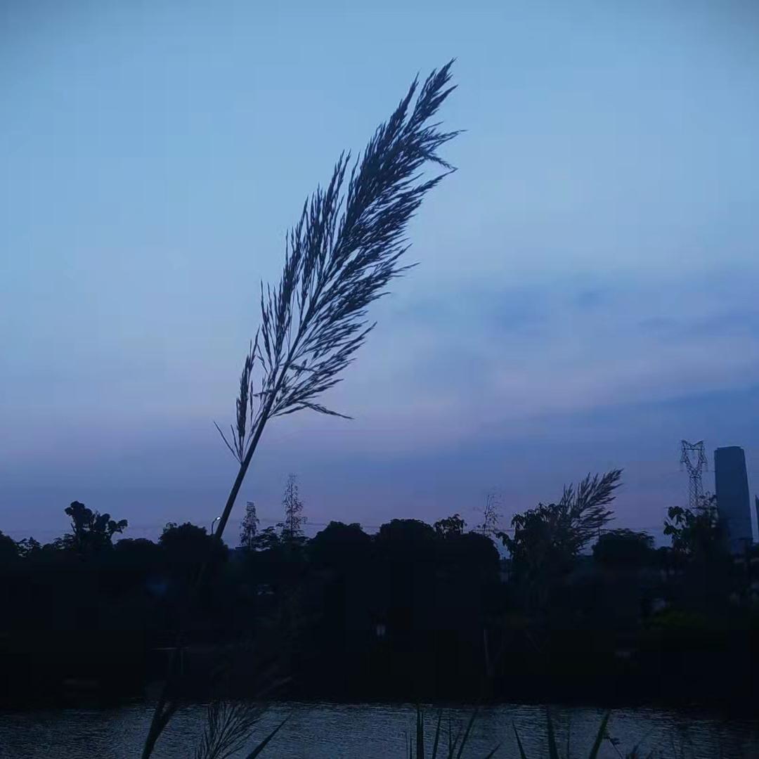 山崎泽野-1_调查中（Kevin remix）