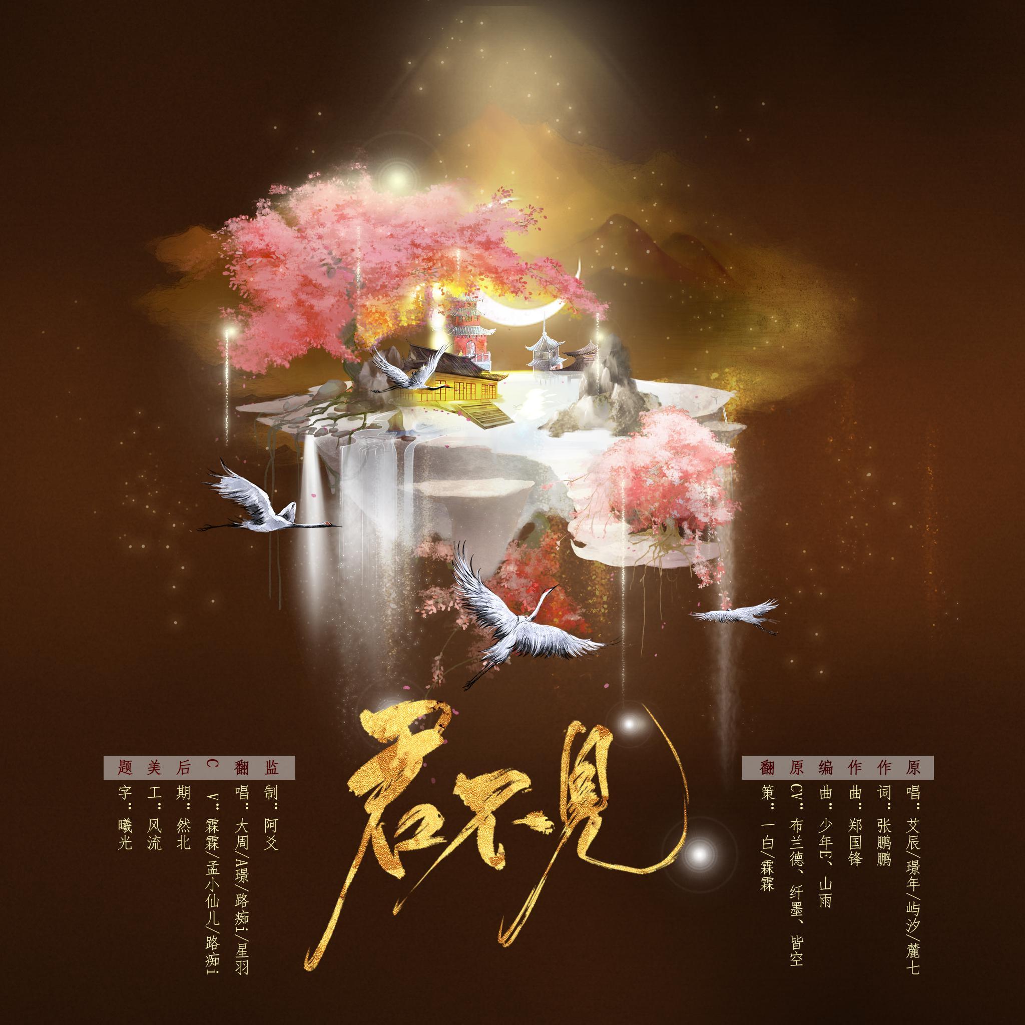 君不见(翻自 艾辰)封面