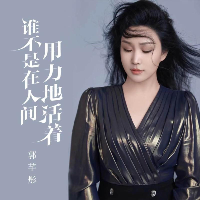 谁不是在人间用力地活着封面