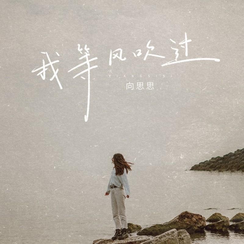 我等风吹过 (伴奏)封面