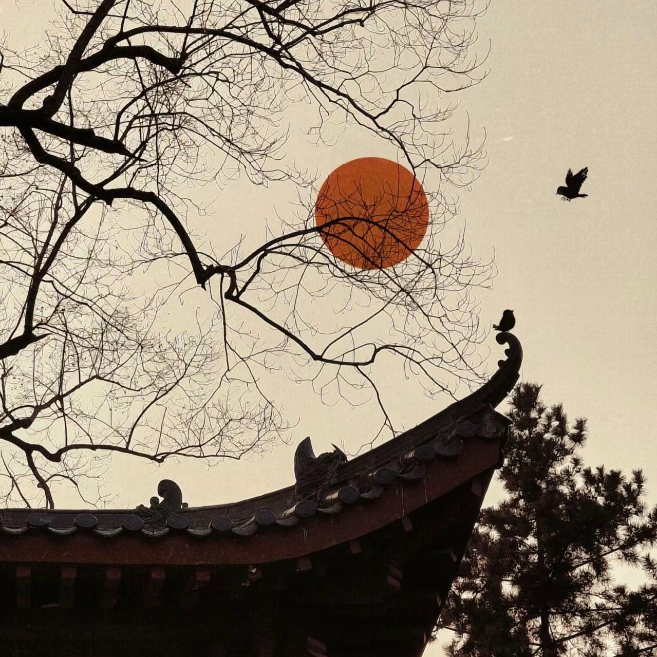 武家坡2021 - 高三三、阿基米豆封面