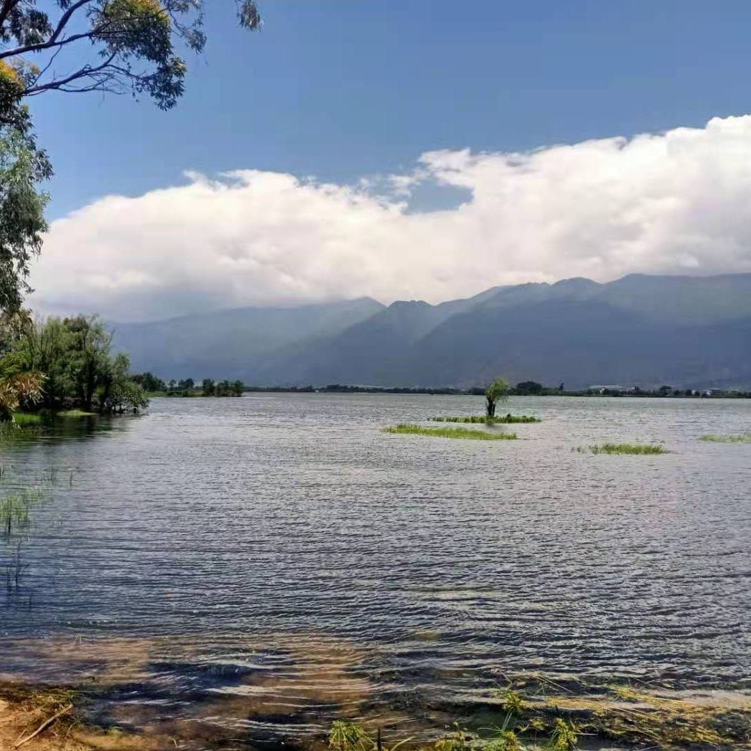 苍山上封面