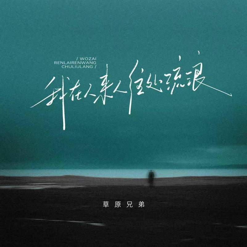 我在人来人往处流浪 (伴奏)封面