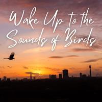 Wake Up to the Sounds of Birds - 3 hours