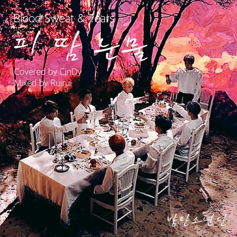 피 땀 눈물(血汗泪)（Cover 防弹少年团）