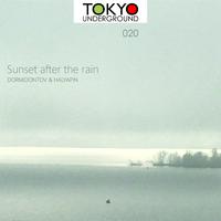 Sunset after the rain