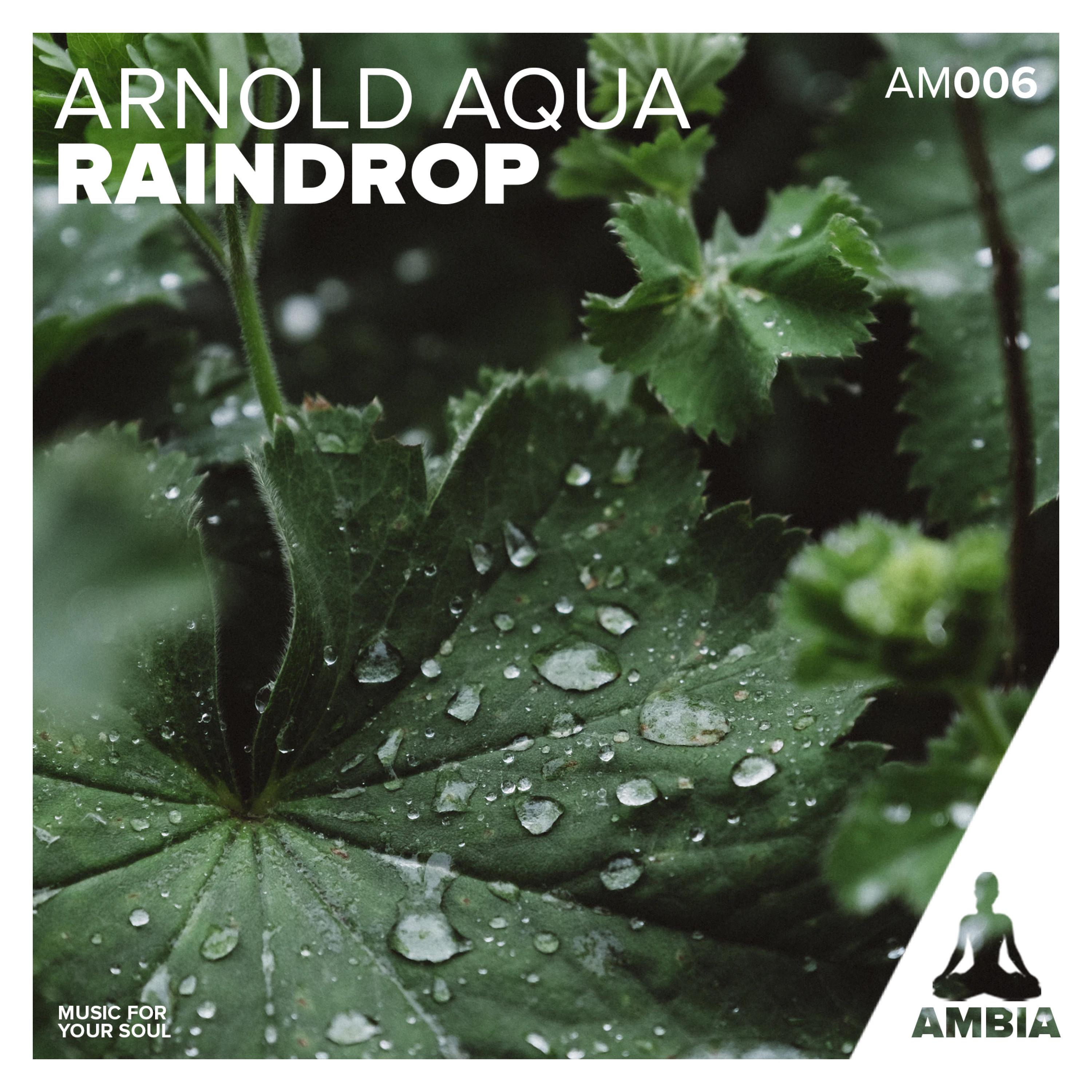 Raindrop I