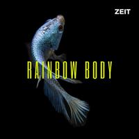 Rainbow Body