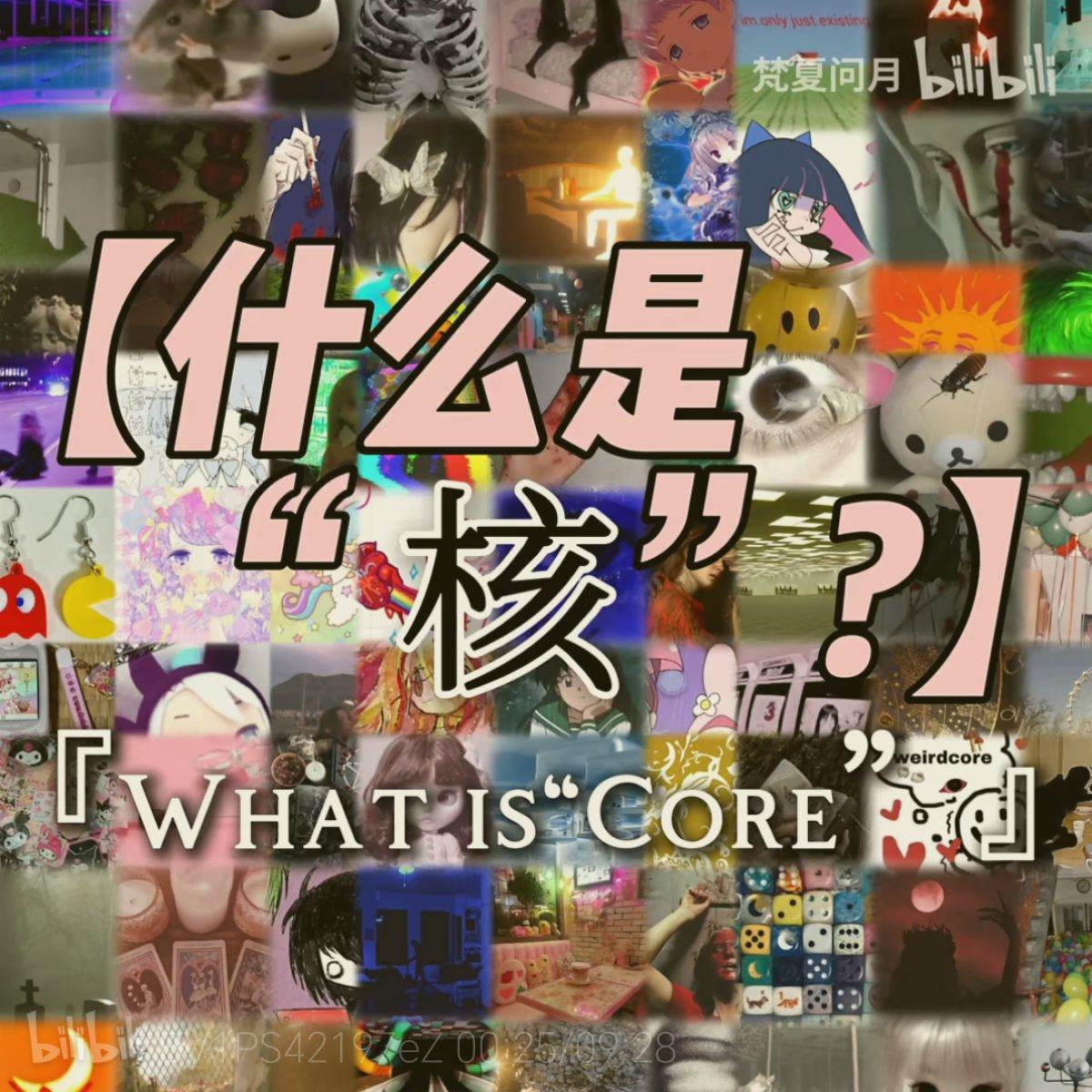 核类美学/小众亚文化