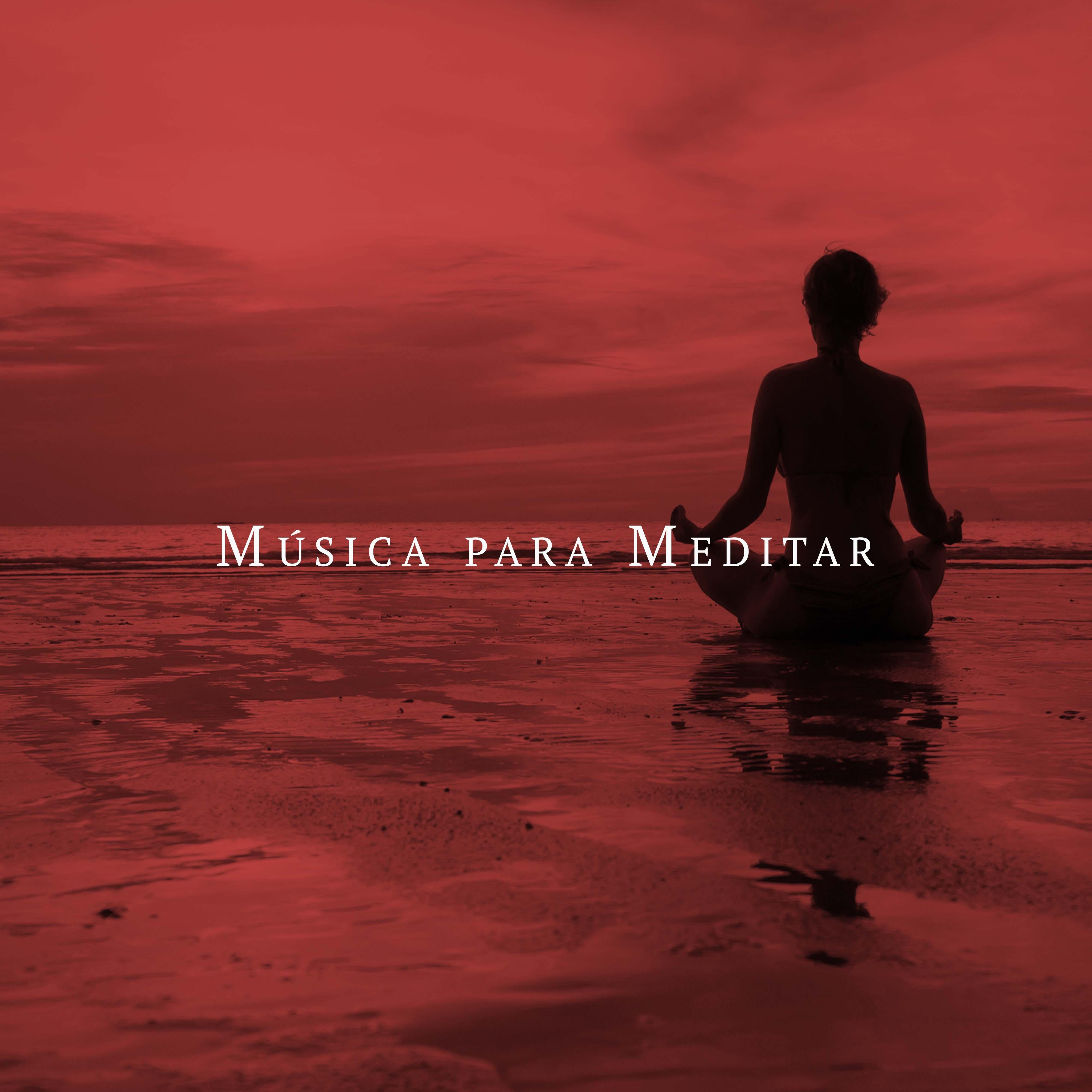 Musica de Relajación Academy