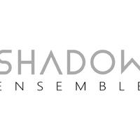 Shadow Ensemble