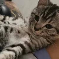 空心人资料,空心人最新歌曲,空心人MV视频,空心人音乐专辑,空心人好听的歌