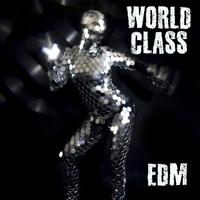 World Class EDM – Best Party and Dance Beats 2020