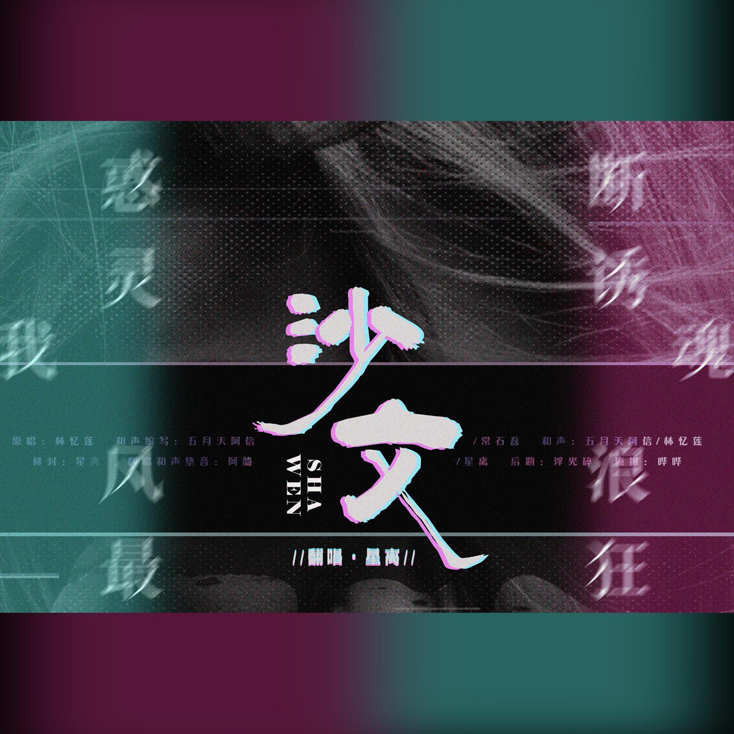 沙文封面