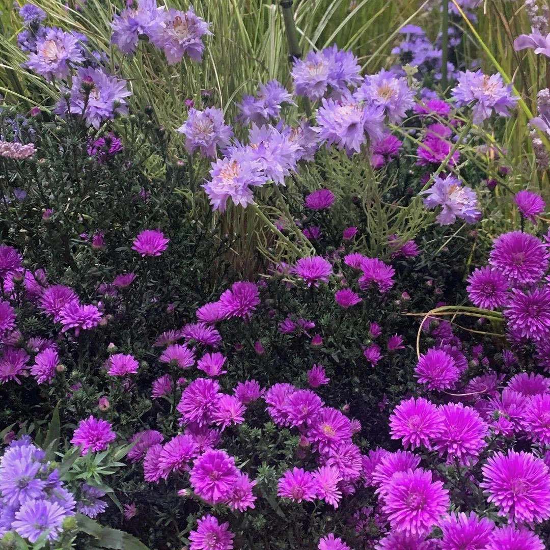 不要离开（Prod.PUNISHME）