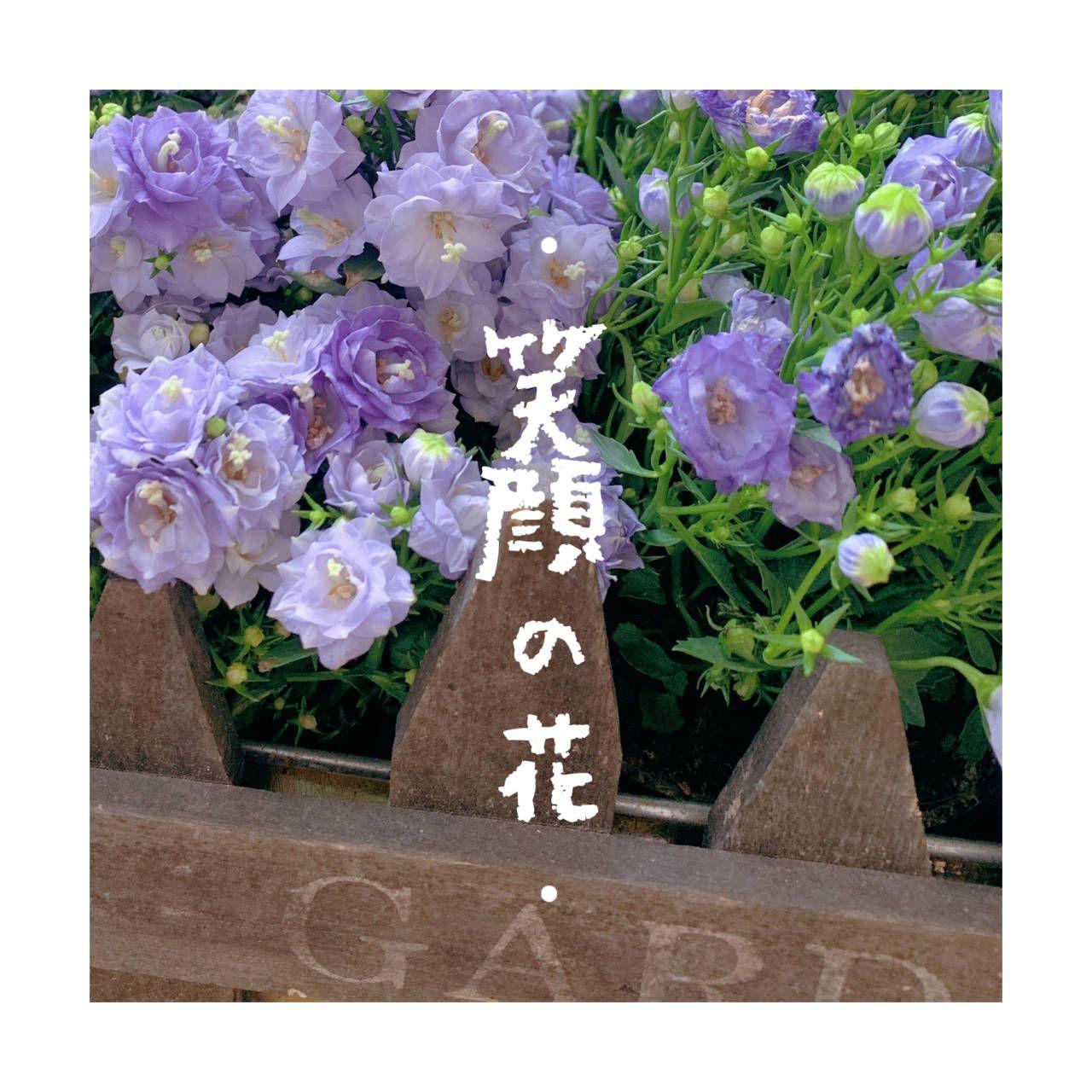笑顔の花封面