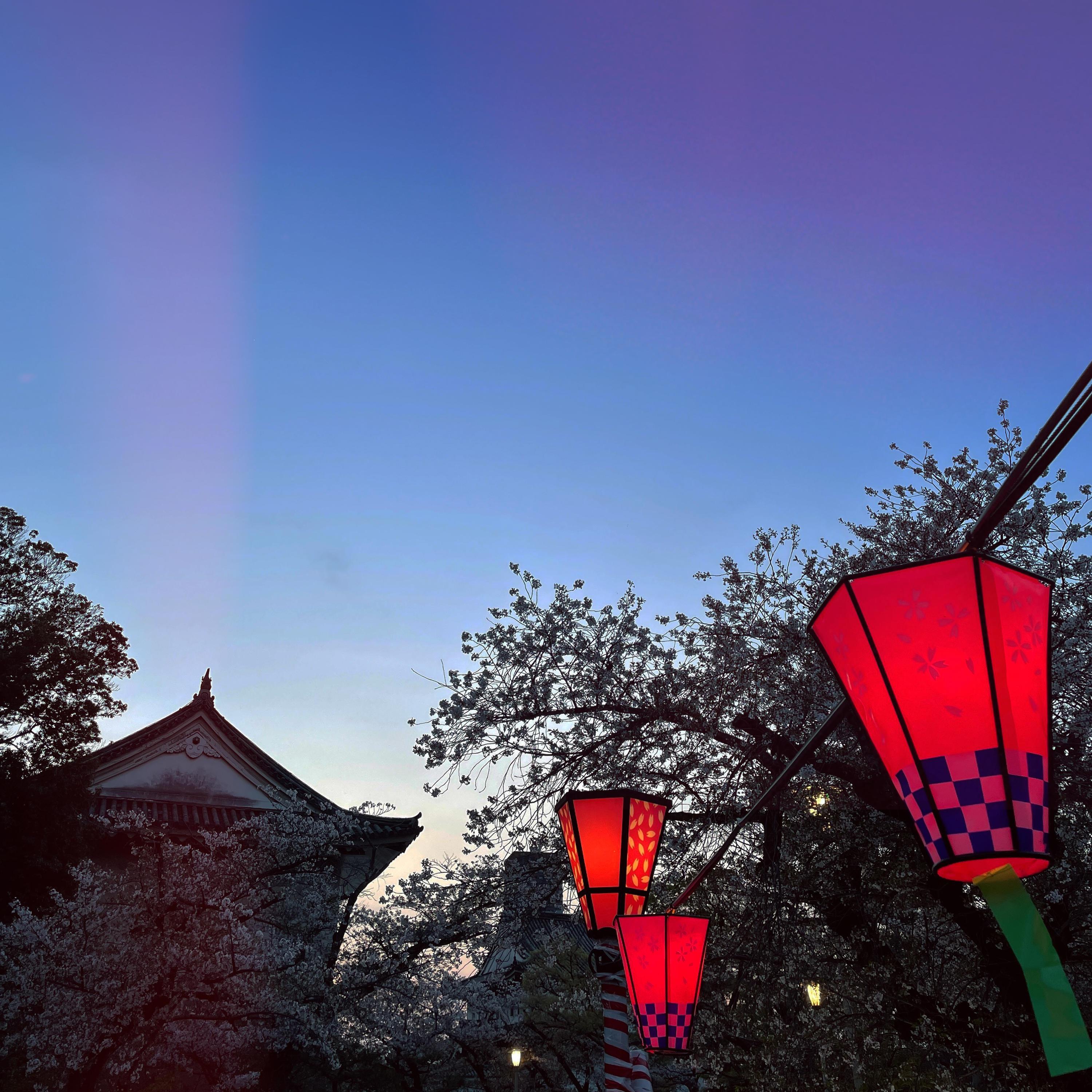 find you封面