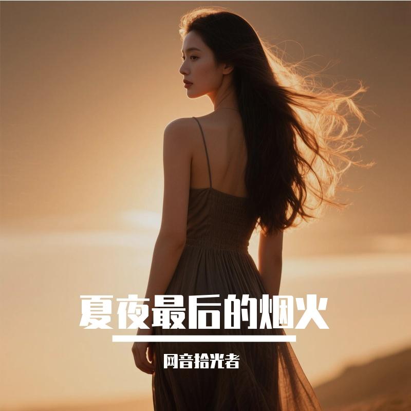 夏夜最后的烟火(DJ版)封面