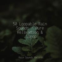 50 Loopable Rain Sounds - Pure Relaxation & Sleep