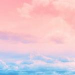 网络流行歌曲2019♡