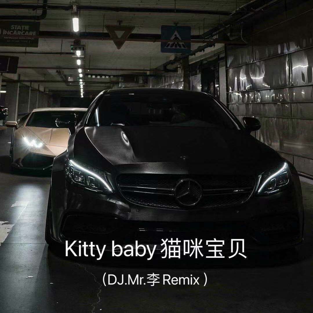 Kitty baby猫咪宝贝（DJ.Mr.李Remix ）