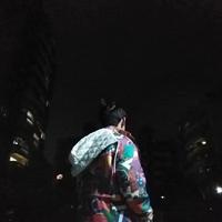 柳不是树