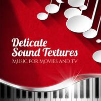 Delicate Sound Textures Music For Movies And Tv