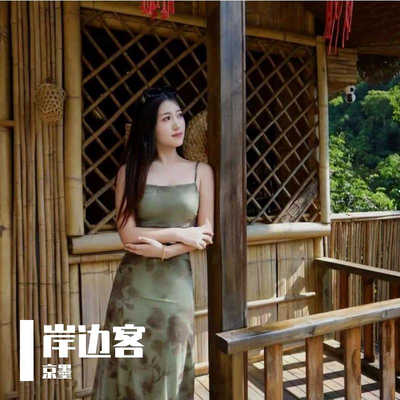 岸边客 - 京墨封面