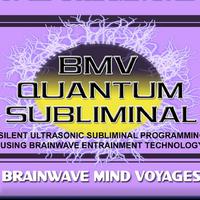 Brainwave Mind Voyages