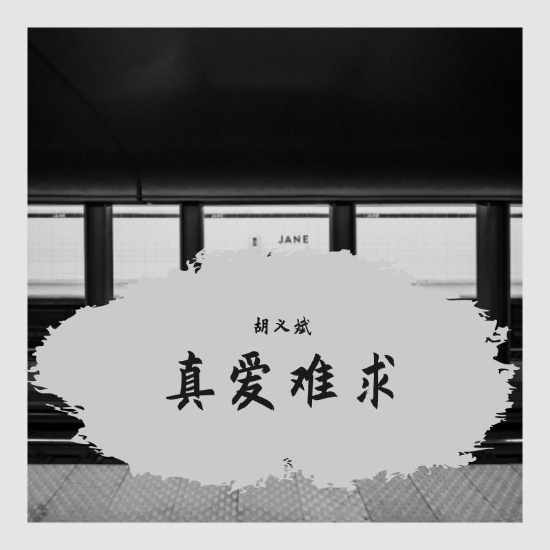 真爱难求（伴奏）封面