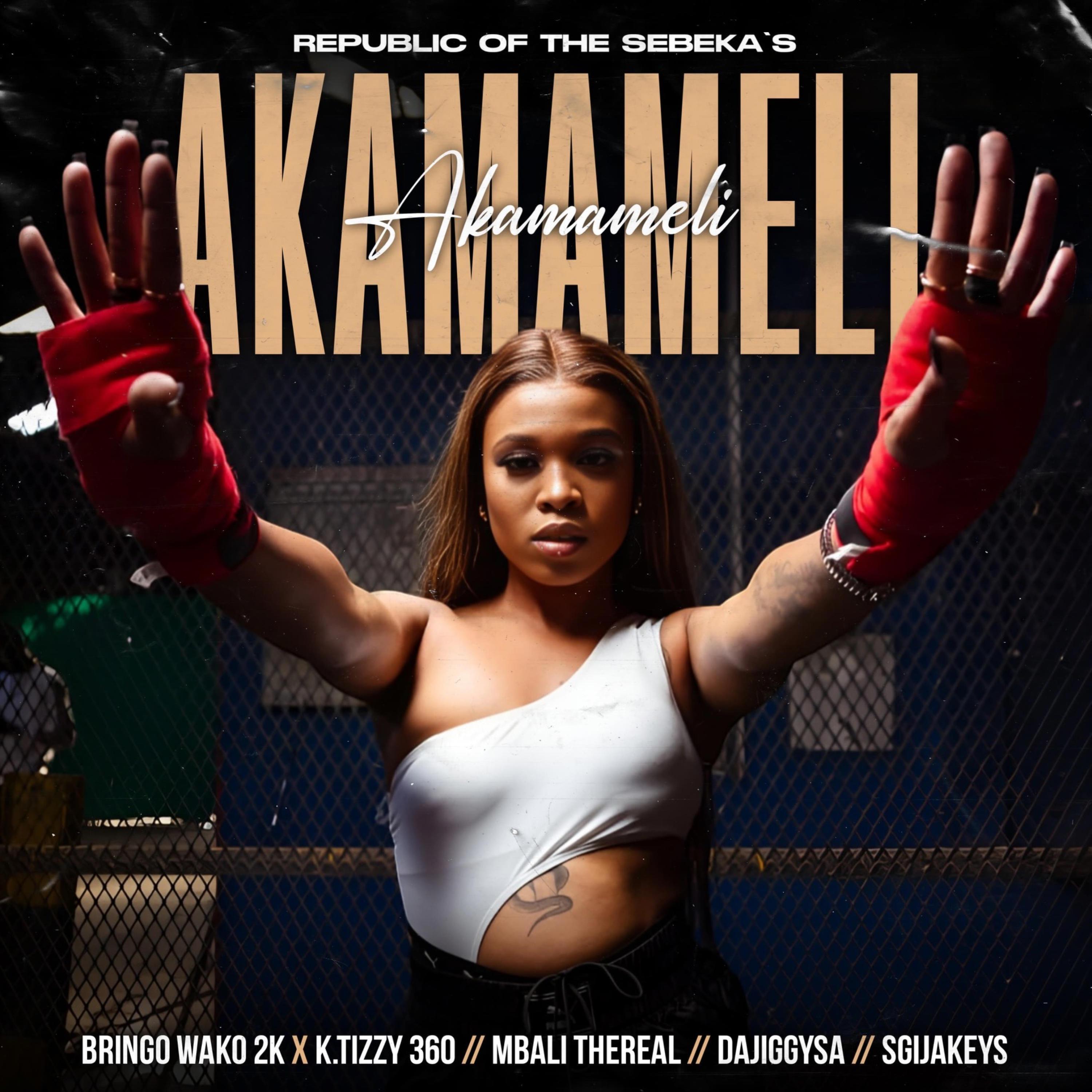 AKAMAMELI (feat. Bringo wako 2k, Mbali thereal, Dajiggysa & Sgijakeys) (Radio Edit)