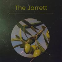 Stephen Booke - Turquoise Moon