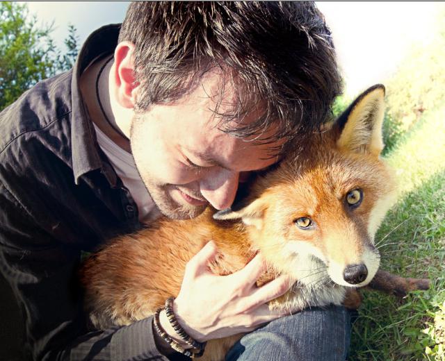 Fox Amoore