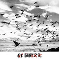 七里香 (DJ版)封面