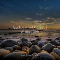 The Essential Sounds | Meditation