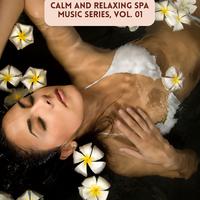 Calm and Relaxing Spa Music Series, Vol. 01