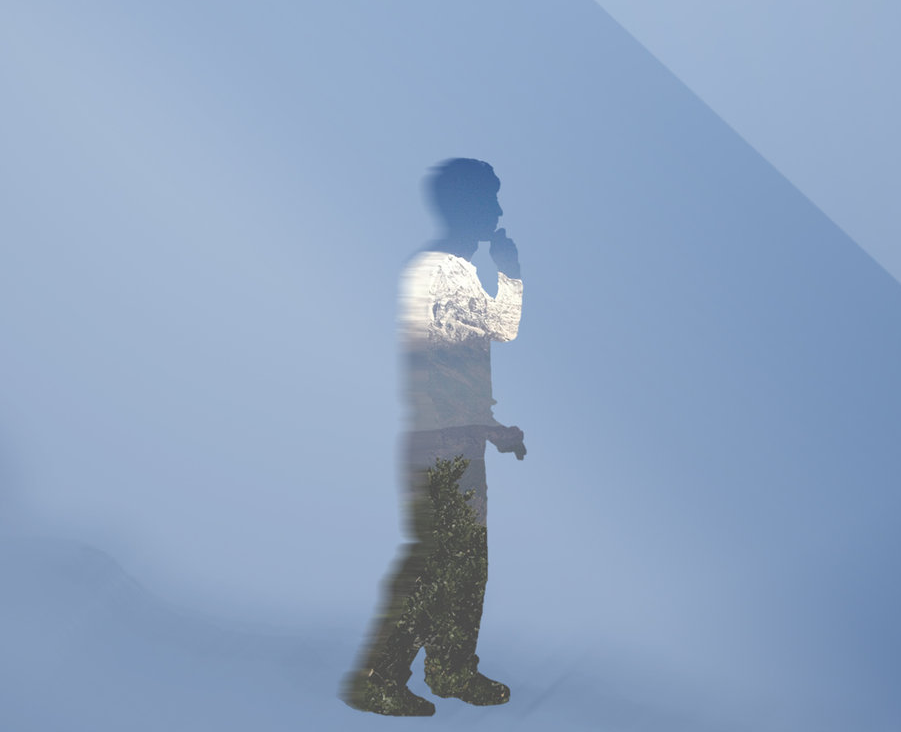 Dan Noel